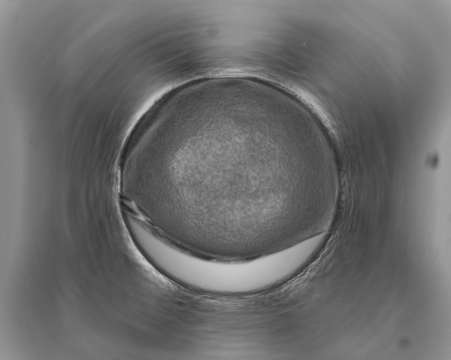 X0000094901476200712201123