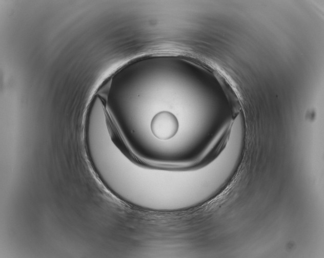 X0000094901477200712201123