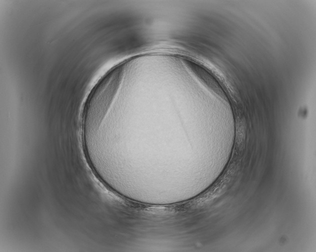 X0000094901478200712201123