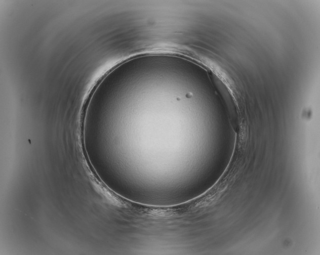 X0000094901480200712201123