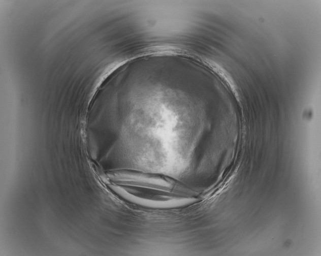 X0000094901481200712201123