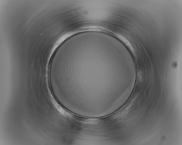 X0000094901482200712201123