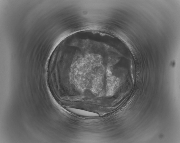 X0000094901483200712201123