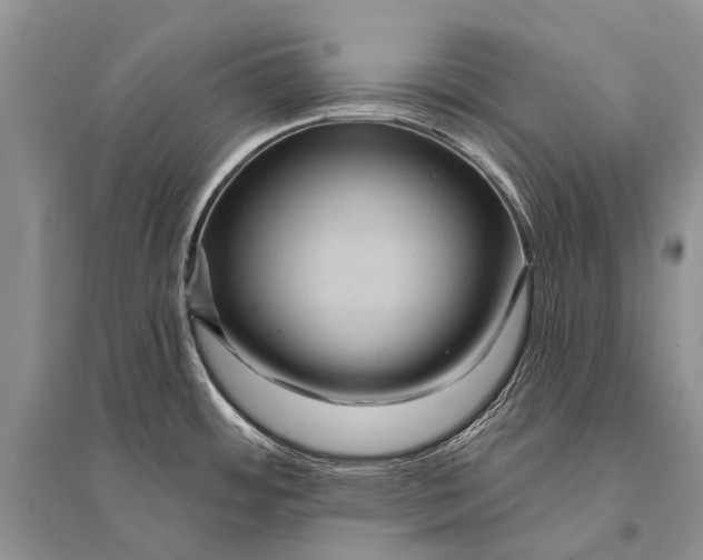 X0000094901484200712201123