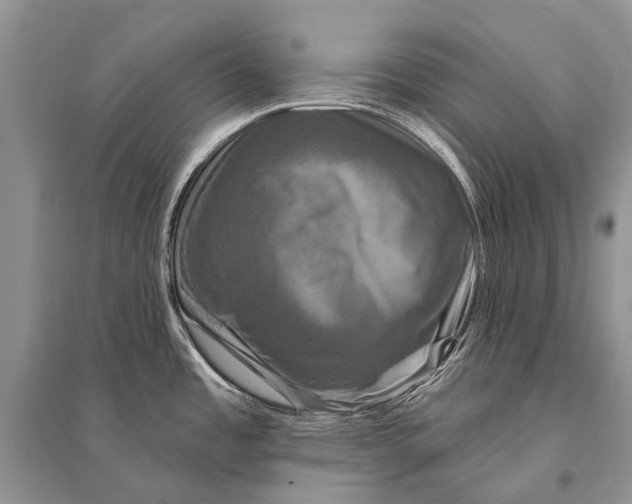 X0000094901485200712201123