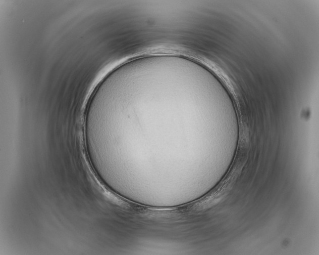 X0000094901486200712201123