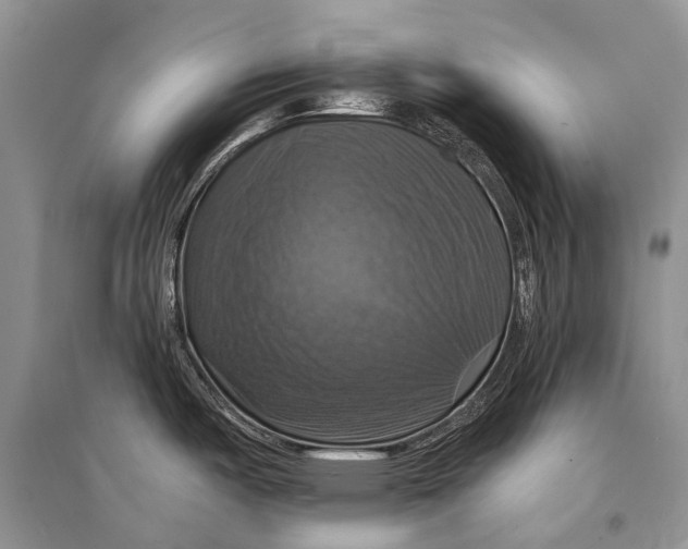 X0000094901487200712201122