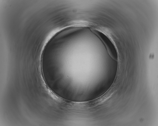 X0000094901488200712201122