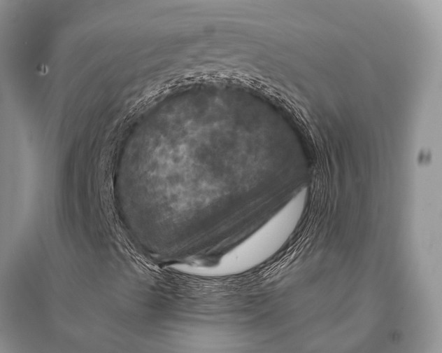 X0000094901489200712201122