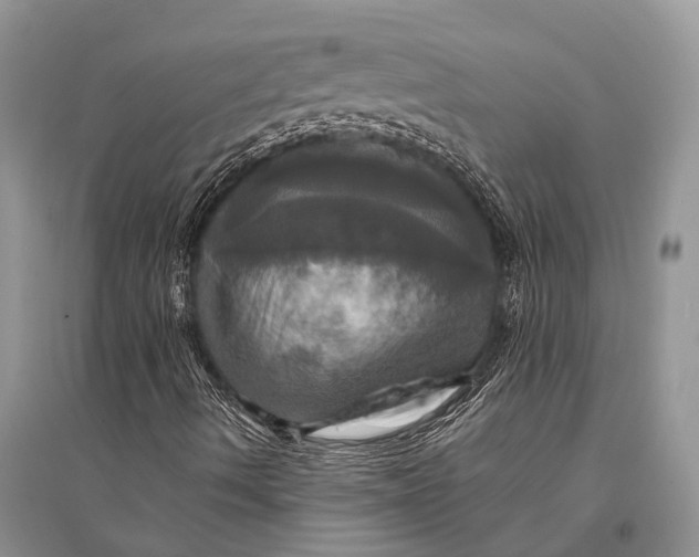 X0000094901490200712201122