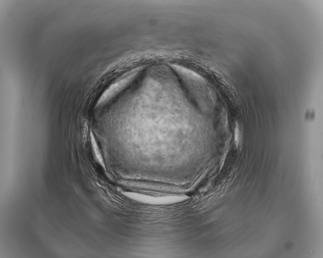 X0000094901492200712201122