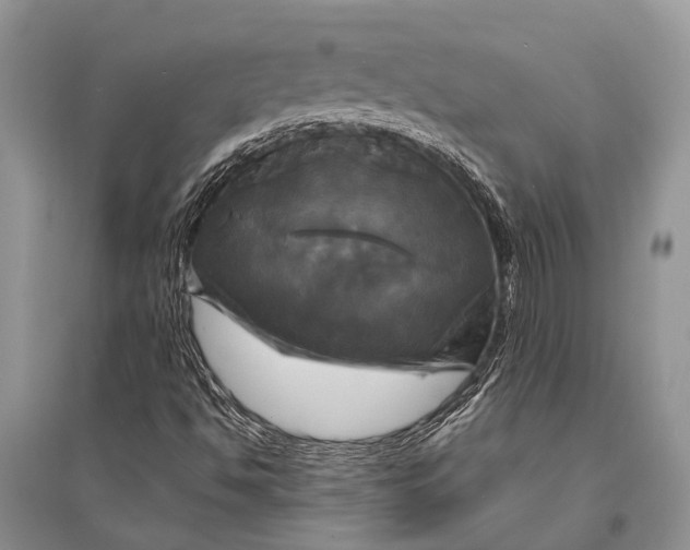 X0000094901494200712201122