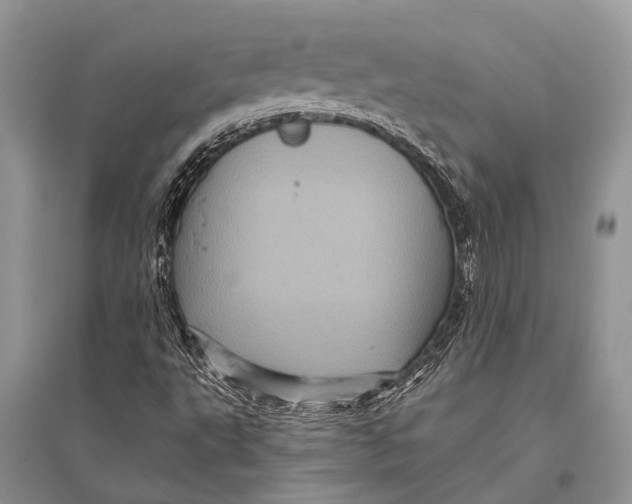 X0000094901495200712201122