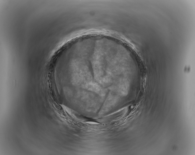 X0000094901496200712201122