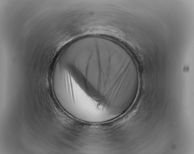 X0000094901497200712201122