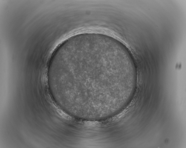 X0000094901498200712201122