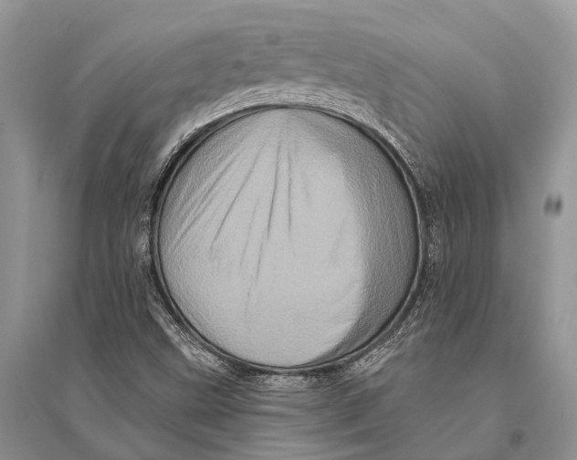 X0000094901499200712201122