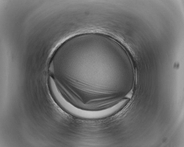 X0000094901500200712201122