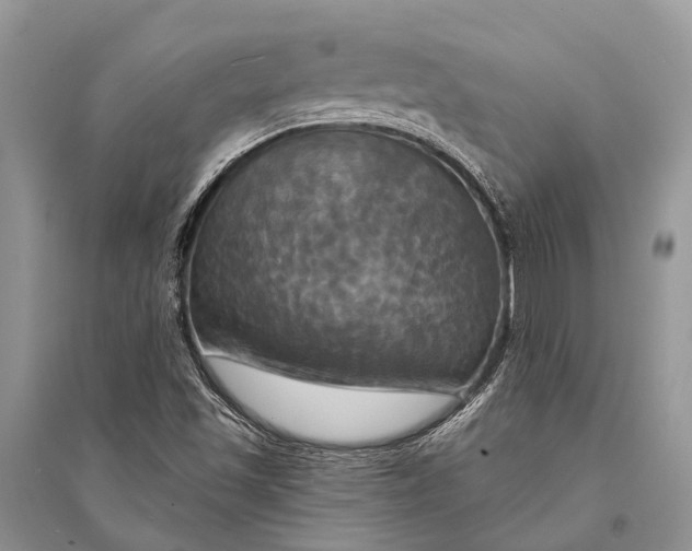 X0000094901501200712201122