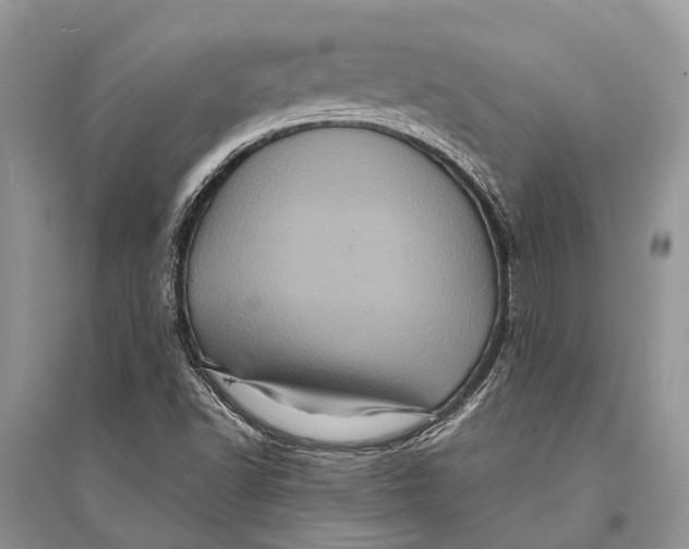 X0000094901502200712201122