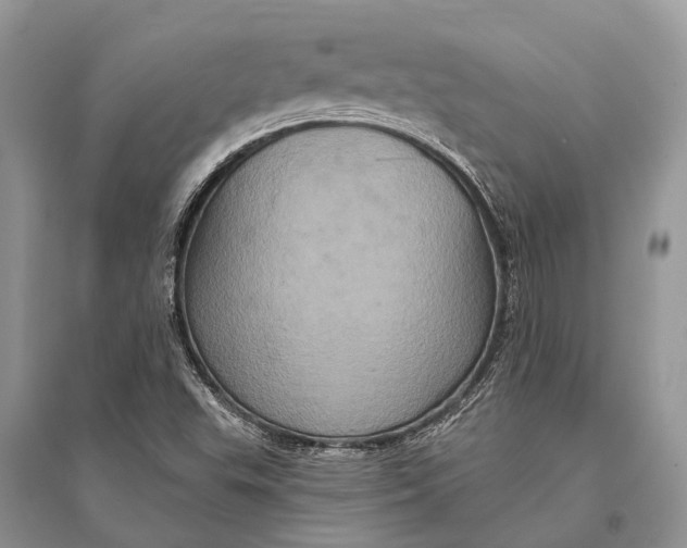 X0000094901503200712201122