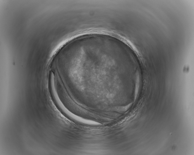 X0000094901504200712201122