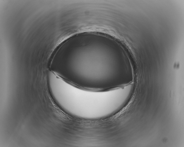 X0000094901505200712201122