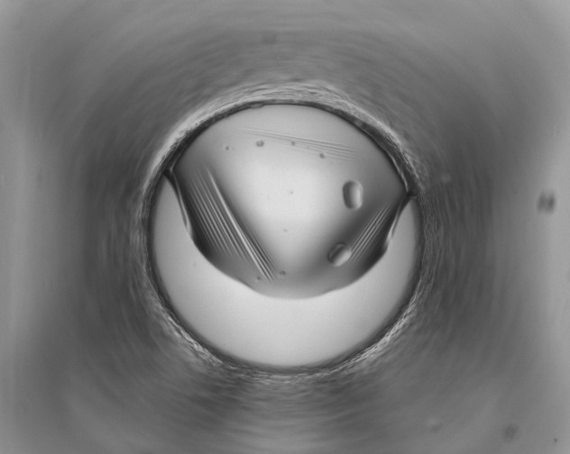 X0000094901506200712201122