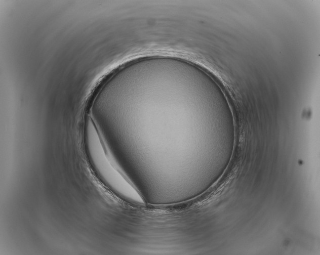 X0000094901507200712201122