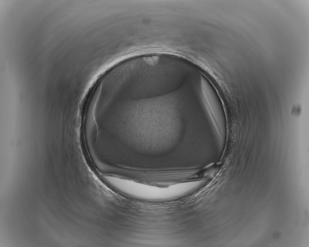 X0000094901508200712201122