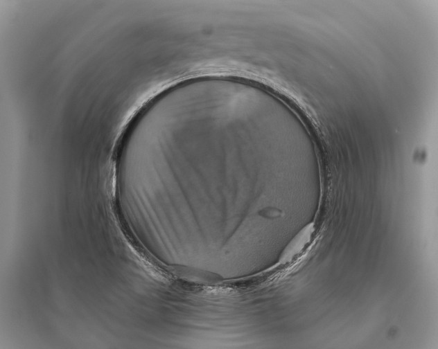 X0000094901509200712201122