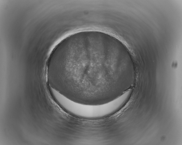 X0000094901510200712201122