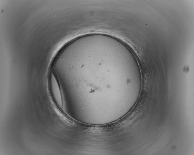 X0000094901511200712201122