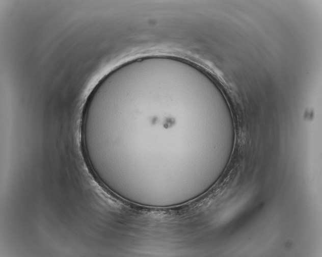 X0000094901512200712201122