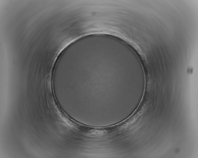 X0000094901513200712201122