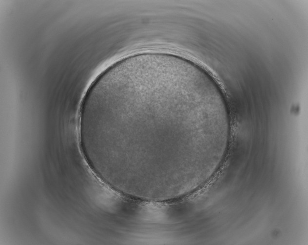 X0000094901514200712201122