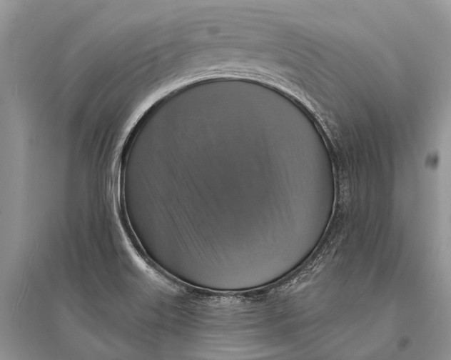 X0000094901515200712201122