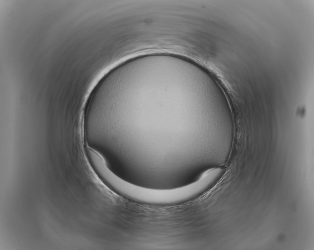 X0000094901516200712201122