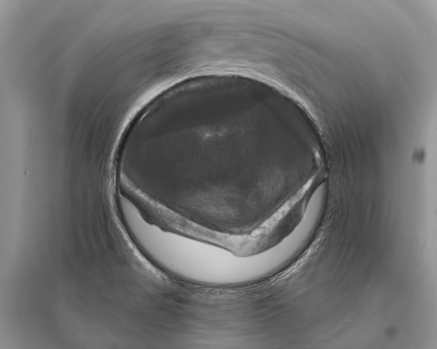 X0000094901517200712201122