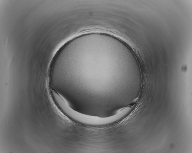 X0000094901518200712201122