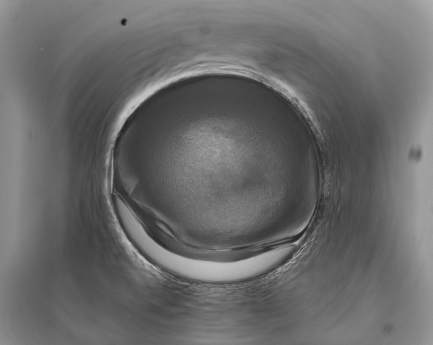 X0000094901520200712201122