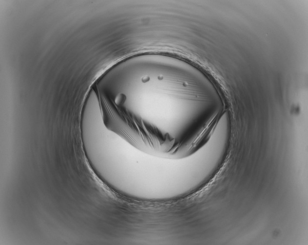 X0000094901521200712201122