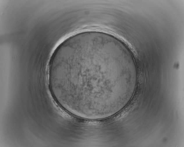 X0000094901522200712201122