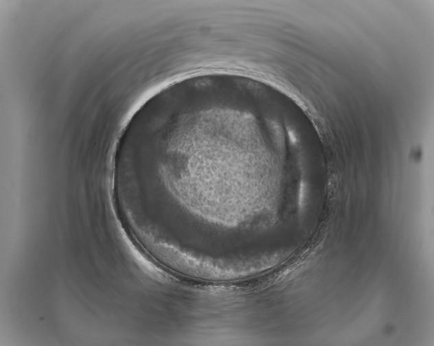 X0000094901523200712201122