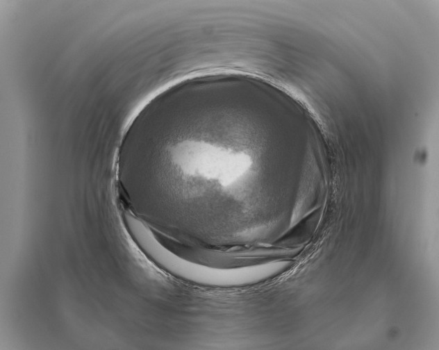 X0000094901524200712201122