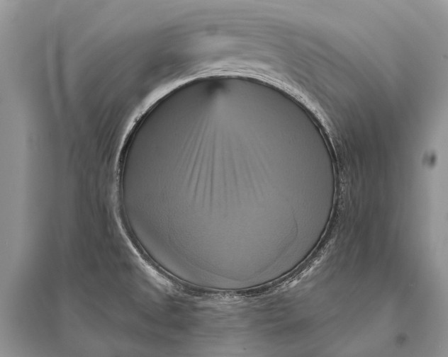 X0000094901525200712201122