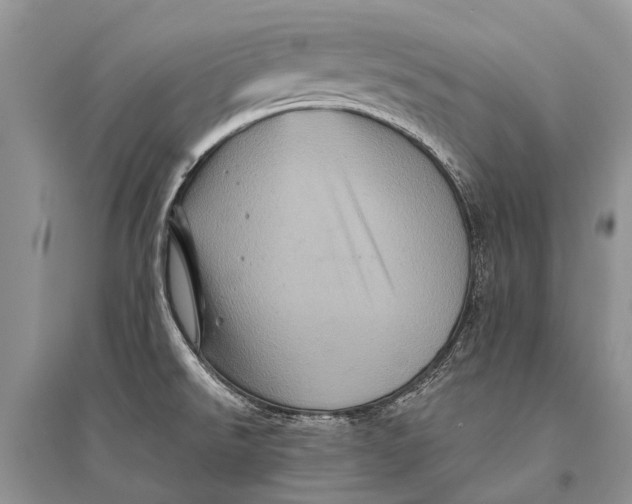 X0000094901526200712201122