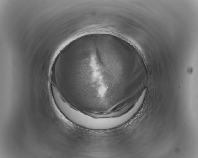 X0000094901528200712201122