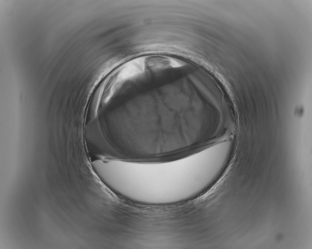 X0000094901529200712201122