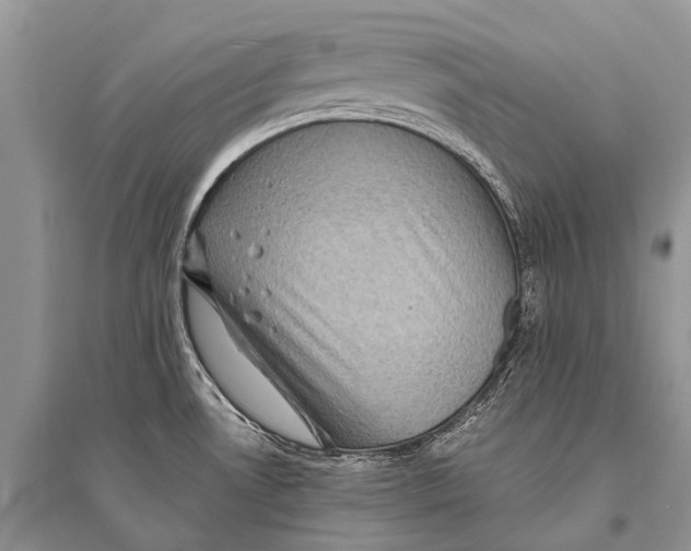 X0000094901530200712201122